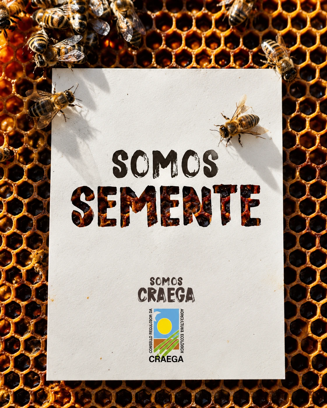 Pieza de campaña “Somos Semente” sobre un panal con abejas.