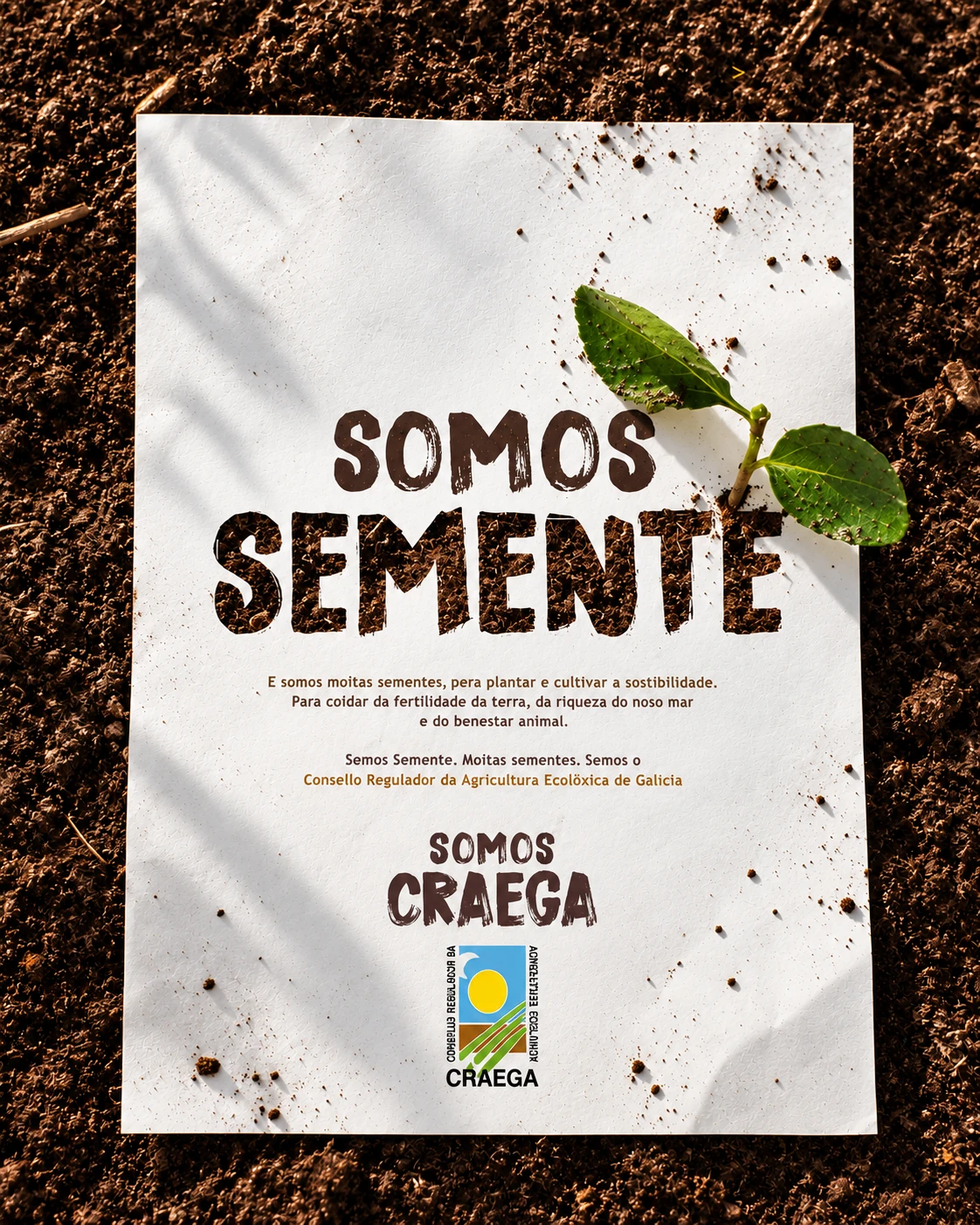 Pieza de campaña “Somos Semente” sobre tierra con un brote.