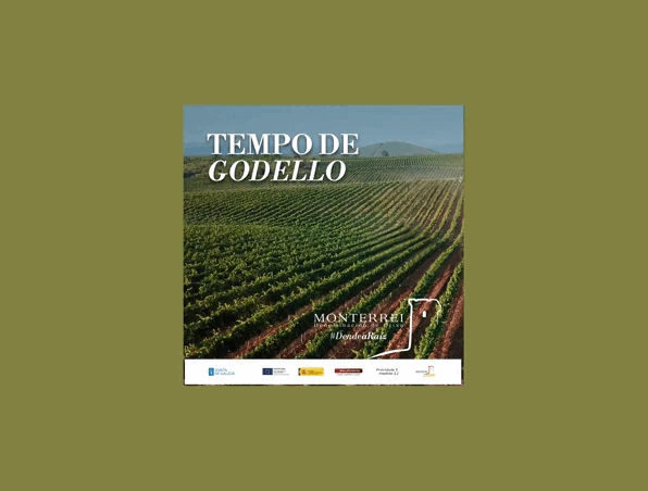 Cartel de campaña Tempo de Godello sobre fondo verde oliva, con marcas colaboradoras.
