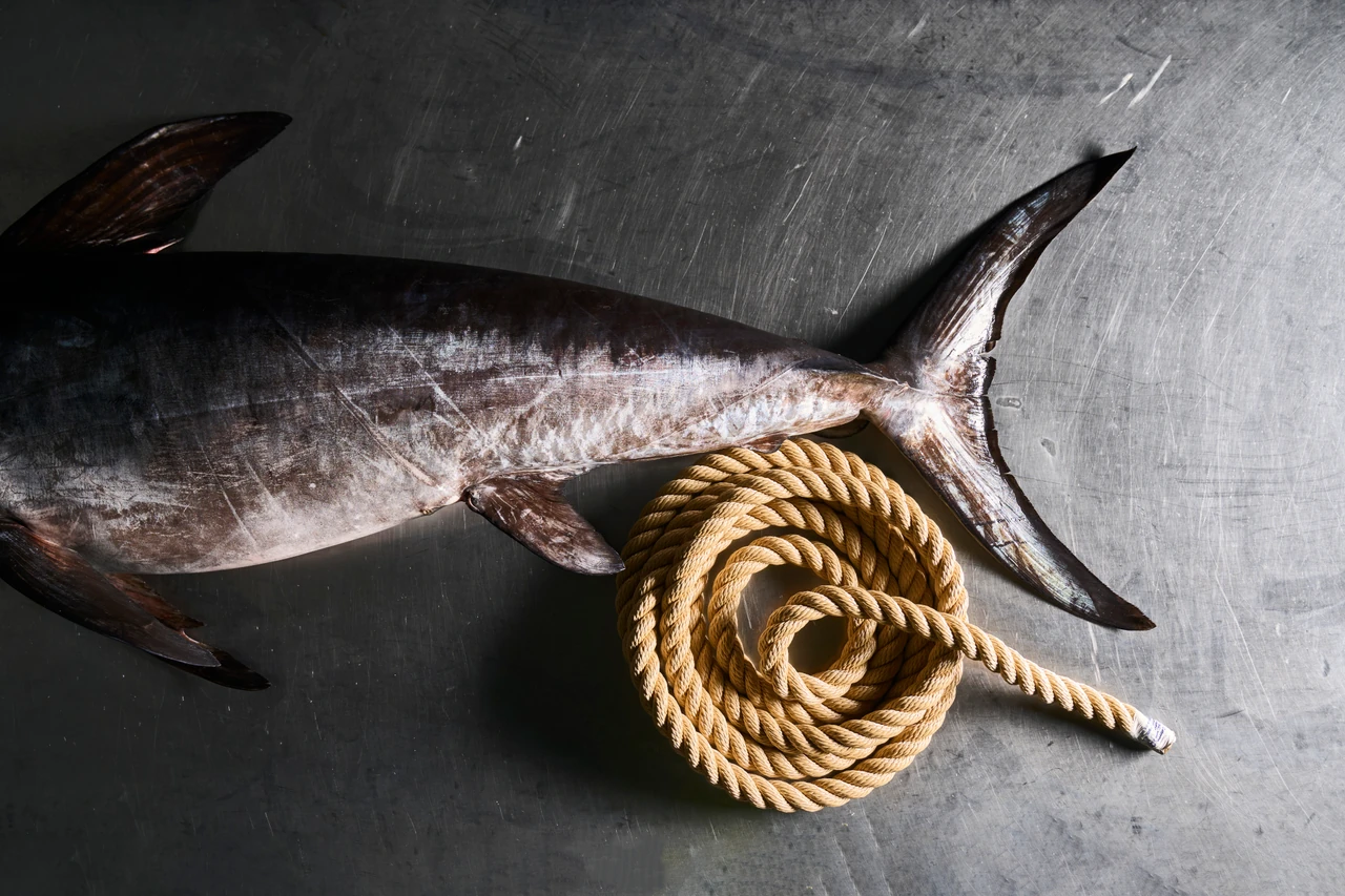 Composición de pescado y cuerda de Orpagu.